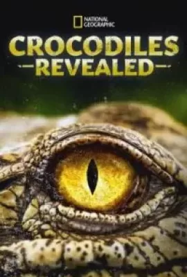 Crocodiles Revealed (2022) บรรยายไทย - ดูหนังออนไลน